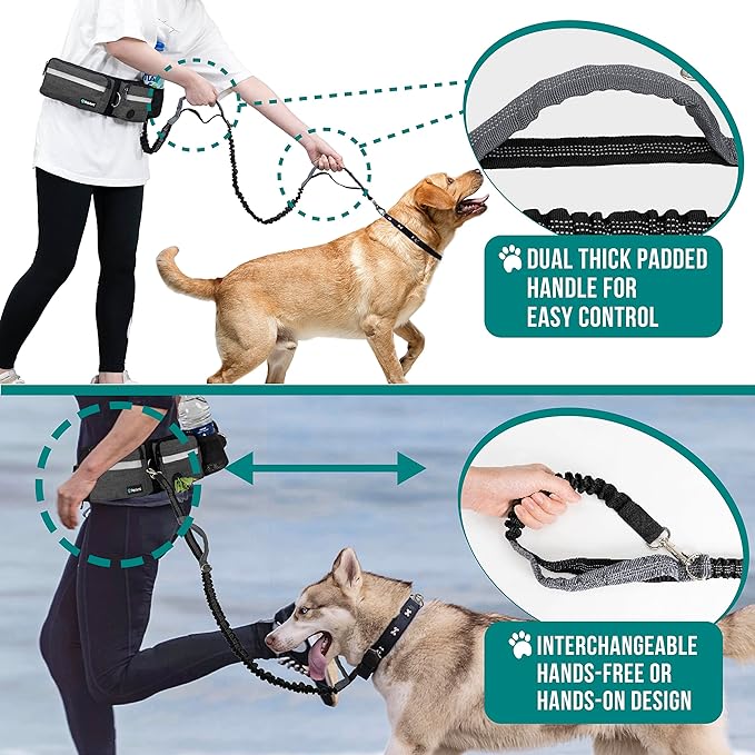 PetAmi Hands Free Dog Leash, Dog Running Leash Belt Bag for Walking, Jogging, Dog Waist Double Zipper Pouch with Poop Bag Dispenser, Dual Padded Handles Reflective Bungee Leash, Double (Charcoal Grey)