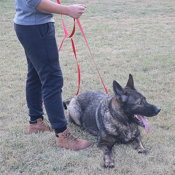 Dog/Puppy Obedience Recall Training Agility Lead - 15ft 20ft 30ft 40ft 50ft Training Leash - Great for Play, Camping, or Backyard (Rainbow, 20 Feet)