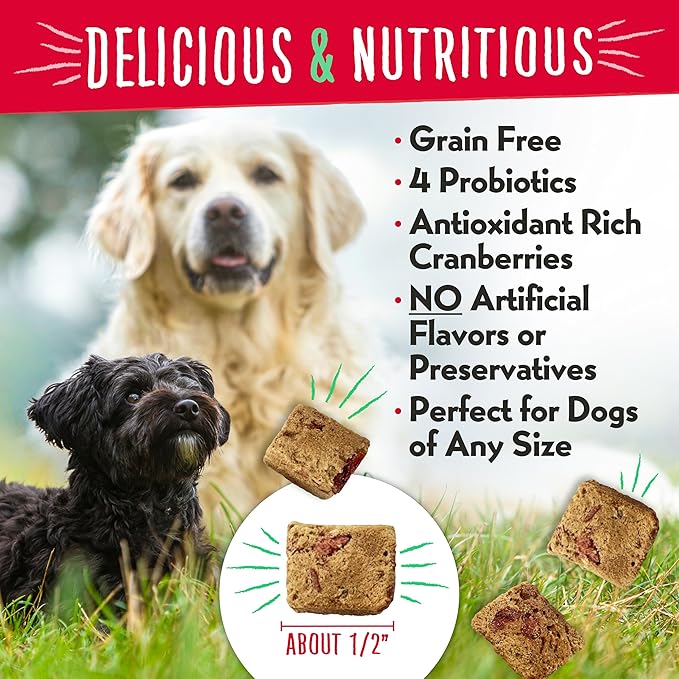 Charlee Bear Grain Free Meaty Bites Freeze Dried Dog Treats with Probiotics, Puppy Training Snacks, Soft Dog Bites Chicken with Cranberries, 2.25 oz Bags (2), Made USA