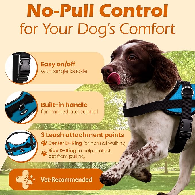 Bark Appeal Aqua Blue No-Pull Dog Harness for XS to Small Sized Pets – Adjustable, Reflective Vest with 3 Leash Clips for Added Control, Easy Walks & Training – Small
