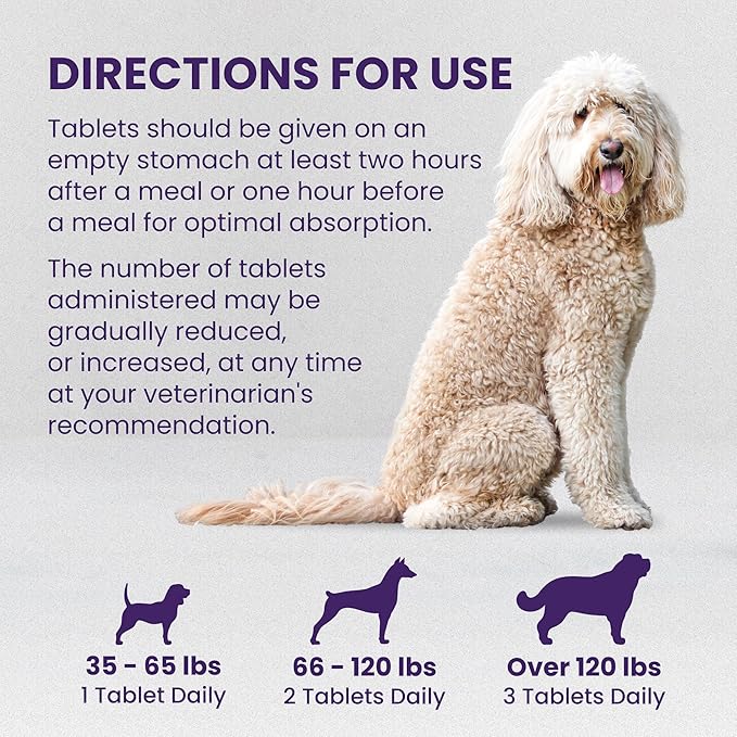 Nutramax Denamarin Liver Health Supplement for Large Dogs - With S-Adenosylmethionine (SAMe) and Silybin, 30Count(Pack of 1)