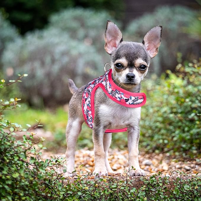 Mile High Life Dog Harness, Air Mesh Floral Vest Harness for 20 lbs Small Dogs & Cats, Easy Get on Adjustable Easy Closures Both Neck and Chest(Peony, S Chest 16"-18")