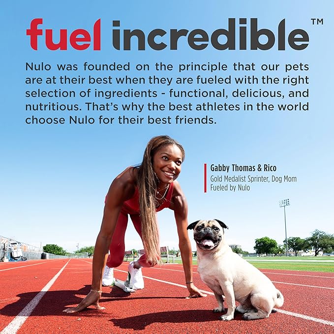 Nulo FreeStyle Limited Ingredient Dog Food, High-Protein Salmon Recipe, Grain-Free Natural Dry Dog Food for Adult Dogs & Puppies with Food Sensitivities, Single Animal Protein, 24 lb Bag