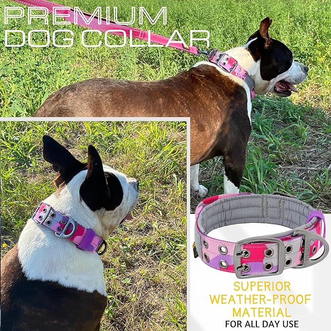 ADITYNA Heavy Duty Dog Collar for Medium Dogs - Camo Pink Purple Collar with Handle for Training, and Walking - Wide, Thick, Tactical, Soft Neoprene Padded