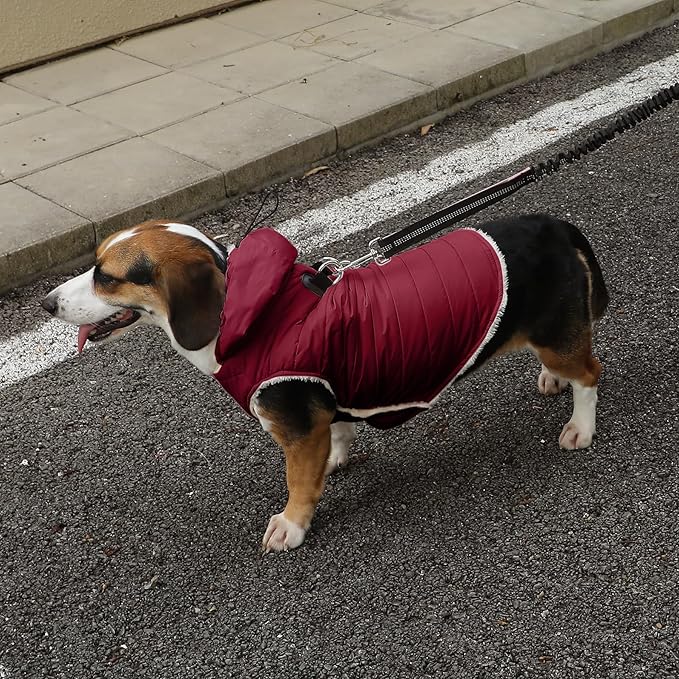 Fleece Lining Dog Hoodie with Harness Built in,Extra Warm Medium Dog Jacket in Winter Doggie Coats with Drawstring Hooded,Red L