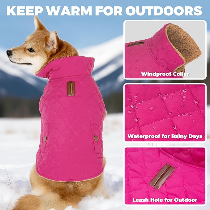 Dog Winter Coat, Warm Dog Jacket Windproof Waterproof Pet Cold Weather Coats for Small Dogs, Turtleneck Fleece Lined Dogs Clothes with Leash Hole, Rose Red Medium