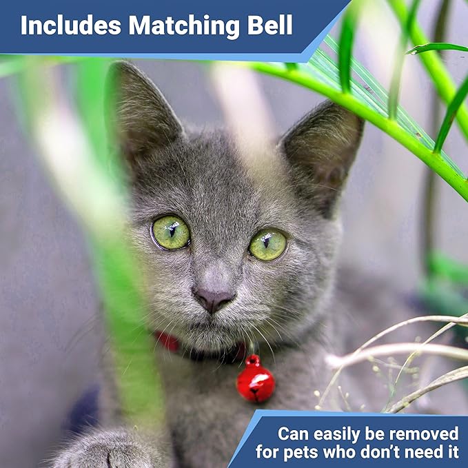 GoTags Reflective Cat Collars with Personalized Tag, Breakaway Collar with Safety Buckle Matching Bell, Engraved Custom with Name and Phone, Adjustable for Cats and Kitten, (Blue with Nameplate)