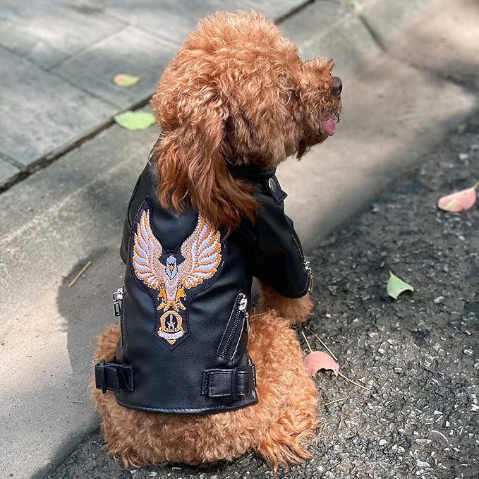 Lovelonglong Cool Dog Leather Jacket, Warm Coats Dogs Windproof Cold Weather Coats for Large Medium Small Dogs with Eagle Embroidery Black S