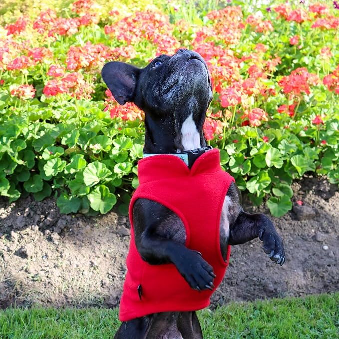 JACKO & CO - Fleece Vest Dog Sweater with Leash Ring - Soft, Warm & Lightweight Pullover Coat for Small & Medium Dogs, Puppies & Cats - Cozy Fall/Winter/Spring Pet Jacket (Red, X-Large 17-25lbs)