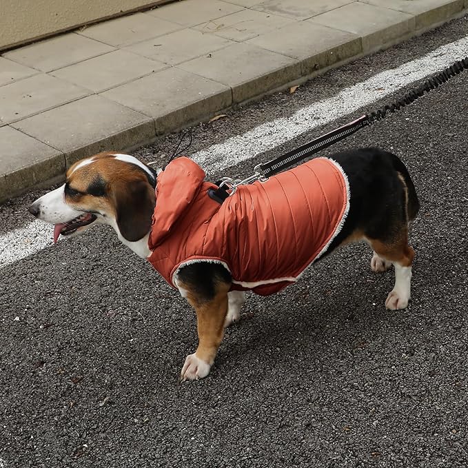 Fleece Lining Dog Hoodie with Harness Built in,Extra Warm Small Dog Jacket in Winter Puppy Coats with Drawstring Hooded,Orange M