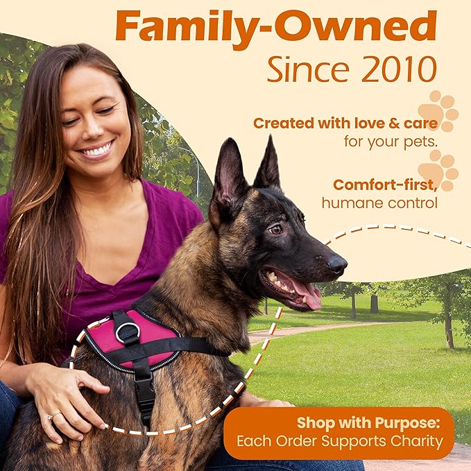 Bark Appeal Pink No-Pull Dog Harness for Small to Medium Sized Pets – Adjustable, Reflective Vest with 3 Leash Clips for Added Control, Easy Walks & Training – Medium
