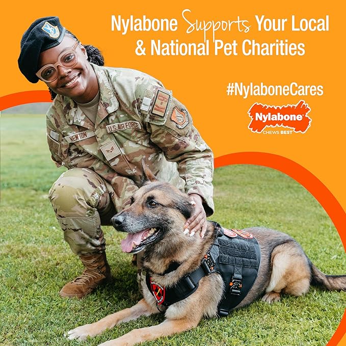 Nylabone Pretzel Power Chew Toy for Dogs, Dog Toys for Aggressive Chewers, Bacon & Peanut Butter Flavor, X-Large Dogs - 50+ lbs, 1 Count