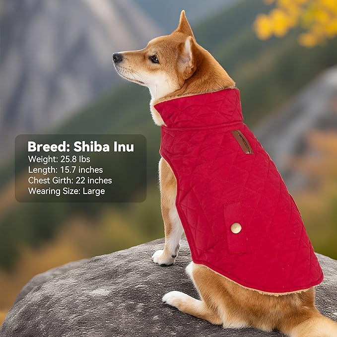 Dog Winter Coat, Warm Dog Jacket Windproof Waterproof Pet Cold Weather Coats for Small Dogs, Turtleneck Fleece Lined Dogs Clothes with Leash Hole, Red Medium