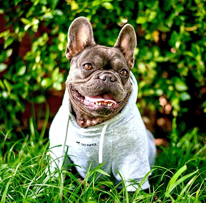 Tuff Pupper Dog Hoodie | Premium Quality 100% Organic Cotton | Ultra Soft Interior for Superior Comfort | Elastic Cuffs & Drawstring for Warmth | Stretch Fit Suitable for All Breeds (Gray, S)