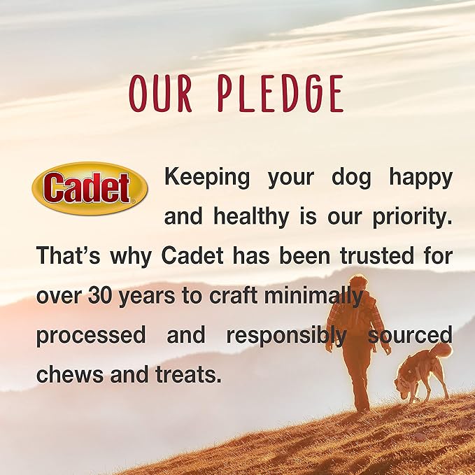 Cadet Bully Sticks for Small Dogs – All-Natural Beef Pizzle, High Protein, Low Fat, Long-Lasting, Grain & Rawhide-Free Dog Chews for Aggressive Chewers, Small (25 Count)