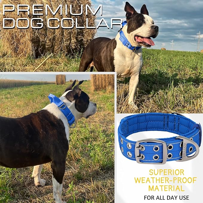 ADITYNA Heavy Duty Dog Collar for Extra-Large Dogs - Reflective Blue Collar with Handle for Training, and Walking - Wide, Thick, Tactical, Soft Neoprene Padded