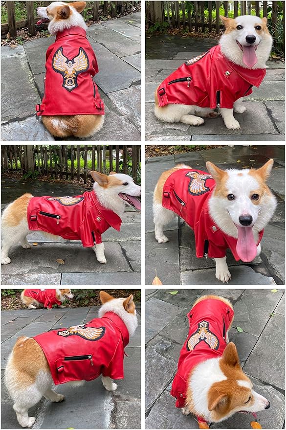 Lovelonglong Cool Dog Leather Jacket, Warm Coats Dogs Windproof Cold Weather Coats for Large Medium Small Dogs with Eagle Embroidery Red XXL
