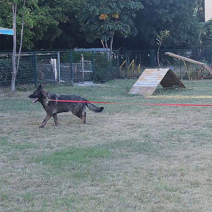 Dog/Puppy Obedience Recall Training Agility Lead - 15ft 20ft 30ft 40ft 50ft Training Leash - Great for Play, Camping, or Backyard - Red 15ft (15Feet, Red)