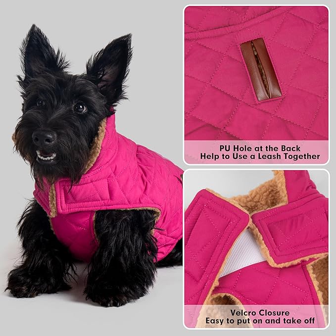 azuza Dog Jacket for Medium Dogs Waterproof & Windproof Dog Coat for Small Dogs with Thick Fleece, High Collar with Leash Hole, Adjustable Velcro & Elastic Belly, Rose Red 2XL