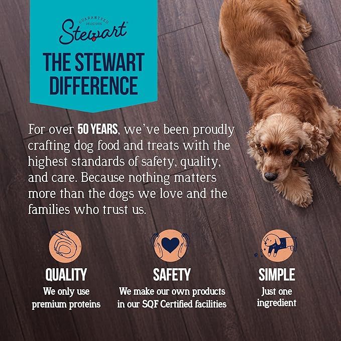 Stewart Wild Salmon Dog Treats, 2.75 oz, ~55 Pieces, Freeze Dried Raw, Single Ingredient, 65% Protein Training Treats or Meal Topper in a Resealable Tub, Grain Free, Gluten Free