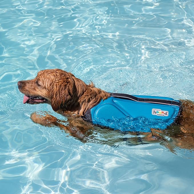Outward Hound Dawson Swim Dog Life Jacket, High-Performance Neoprene Dog Life Vest for Swimming, Boating, and Water Safety, Small, Blue