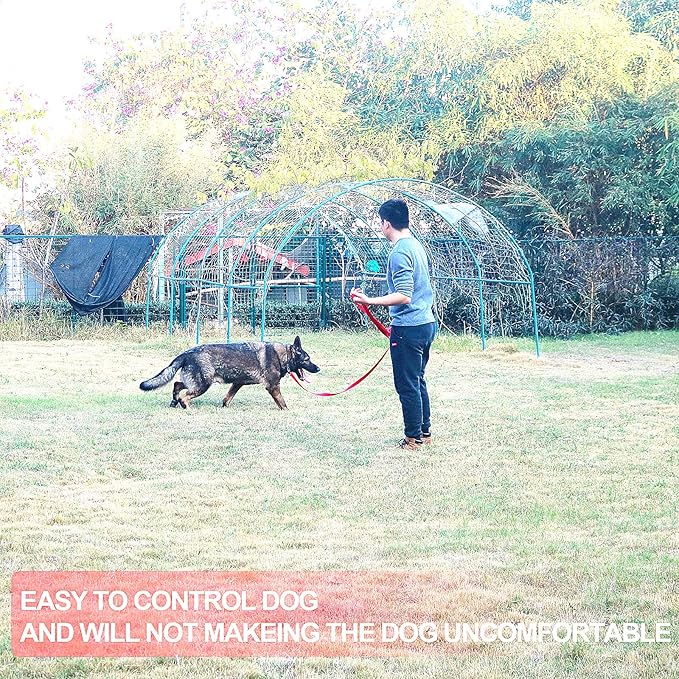 Dog/Puppy Obedience Recall Training Agility Lead - 15ft 20ft 30ft 40ft 50ft Training Leash - Great for Training, Play, Camping, or Backyard (30 Feet, Red)