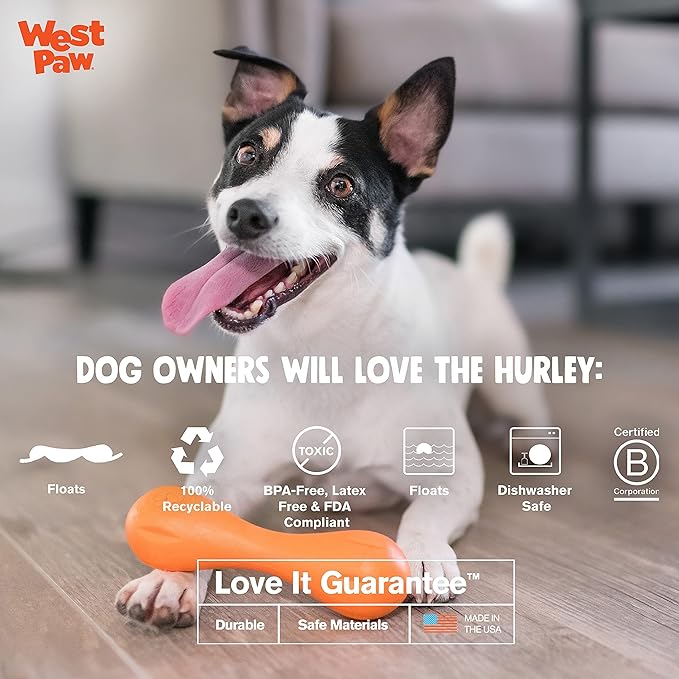 WEST PAW Zogoflex Hurley Dog Bone Chew Toy – Floatable Pet Toys for Aggressive Chewers, Catch, Fetch – Bright-Colored Bones for Dogs – Recyclable, Dishwasher-Safe, Non-Toxic, Small, Tangerine