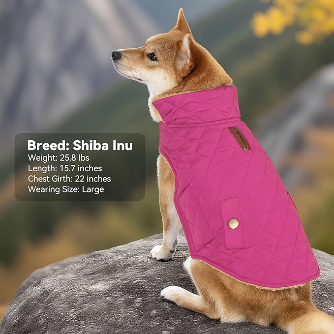 Dog Coat, Warm Windproof Dog Coats for Large Dogs Boy, Waterproof Pet Winter Jacket, Cold Weather Clothes Dogs Snowsuit with Leash Hole, Rose Red XXX-Large