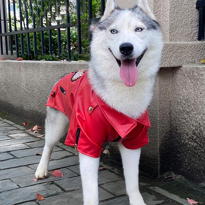 Lovelonglong Cool Dog Leather Jacket, Warm Coats Dogs Windproof Cold Weather Coats for Large Medium Small Dogs with Eagle Embroidery Red L-M