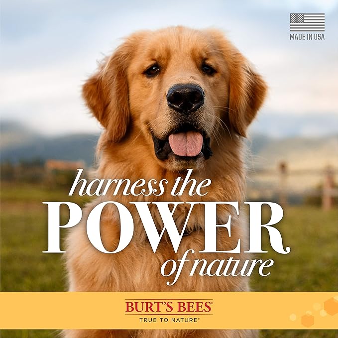 Burt's Bees for Pets Deodorizing Dog Shampoo with Apple and Rosemary, 95% Natural Origin Formulas, Dog Deodorizing Shampoo - Gentle Dog Shampoo, Best Dog Shampoo for Smelly Dogs, 32 oz