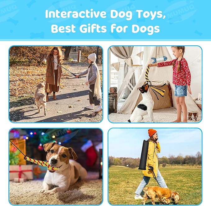 Flirt Pole for Dogs, Retractable Teasing Stick with Lure, Interactive Dog Toy for Outdoor Training Play Exercise, Flirt Stick for Puppy Small Medium Dogs