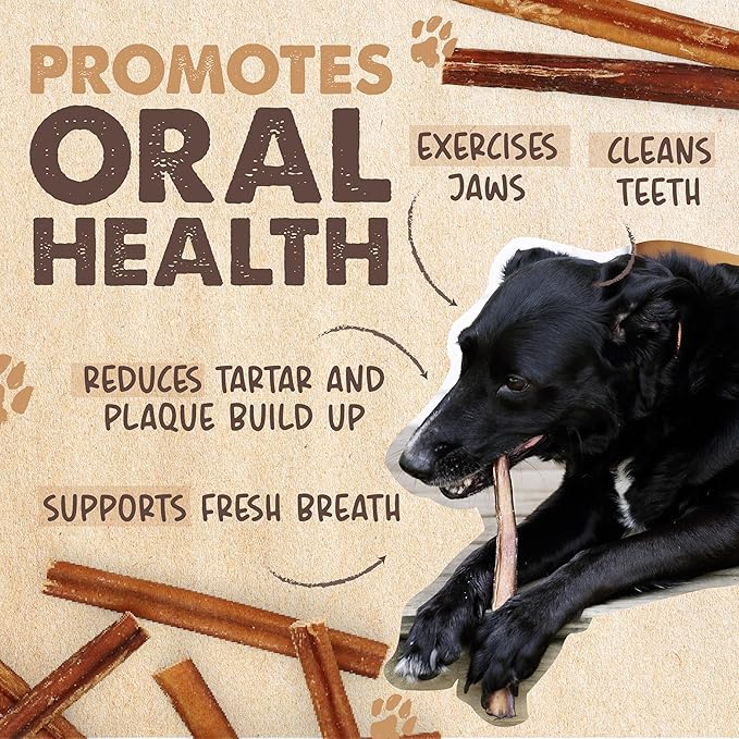 Mighty Paw Long Lasting 12" Bully Sticks for Dogs - All Natural Grass Fed Beef Chews. Lower Odor Dog Bully Sticks for Large Dogs, Medium and Small Breeds. Single Ingredient Treats