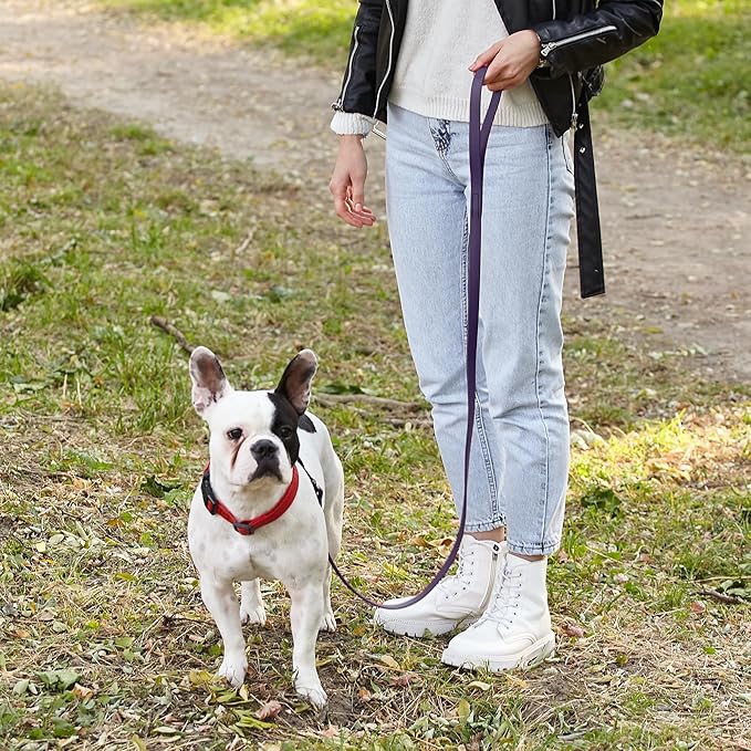 Dogline Biothane Waterproof Dog Leash Strong Coated Nylon Webbing with Black Hardware Odor-Proof Easy to Clean High Performance for Small or Large Dogs Made in USA 4 or 6 ft Lead, Violet Purple