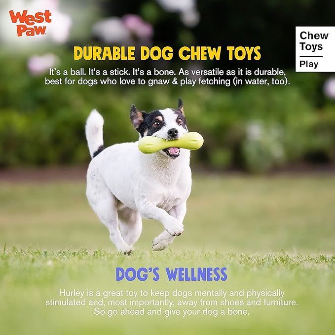 WEST PAW Zogoflex Hurley Dog Bone Chew Toy – Floatable Pet Toys for Aggressive Chewers, Catch, Fetch – Bright-Colored Bones for Dogs – Recyclable, Dishwasher-Safe, Non-Toxic, Small, Tangerine