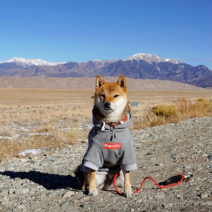 ChoChoCho Pup Dog Hoodie, Cat Hoodies - Fashion Dog & Cat Clothes, Cotton Sweatshirt Outfit for Small to 4XL (Gray)