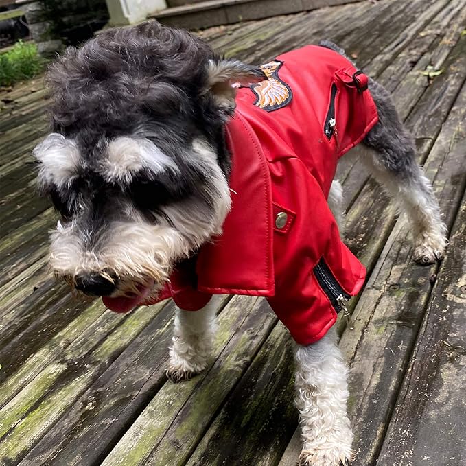 Lovelonglong Cool Dog Leather Jacket, Warm Coats Dogs Windproof Cold Weather Coats for Large Medium Small Dogs with Eagle Embroidery Red L