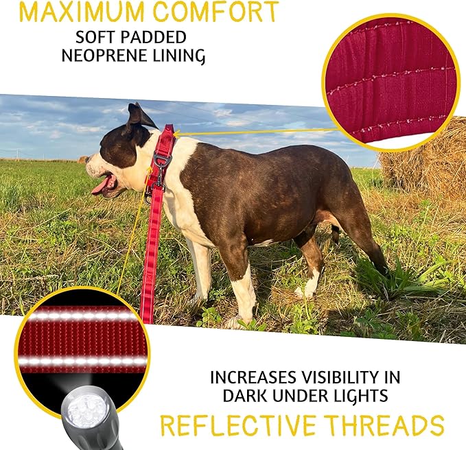 ADITYNA Heavy Duty Dog Collar for Extra-Large Dogs - Reflective Burgundy Collar with Handle for Training, and Walking - Wide, Thick, Tactical, Soft Neoprene Padded