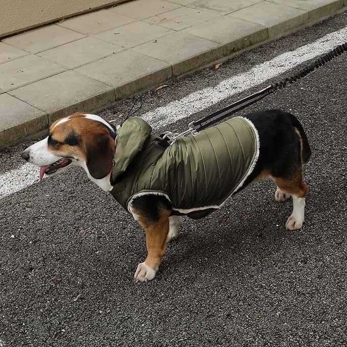 Fleece Lining Dog Hoodie with Harness Built in,Extra Warm Medium Dog Jacket in Winter Doggie Coats with Drawstring Hooded,Green XL