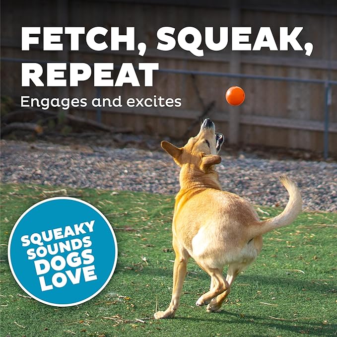 Outward Hound by Planet Dog Squeak Ball Bouncy Fetch Dog Toy, Orange