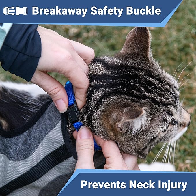 GoTags Reflective Cat Collars with Personalized Tag, Breakaway Collar with Safety Buckle Matching Bell, Engraved Custom with Name and Phone, Adjustable for Cats and Kitten, (Blue with Nameplate)