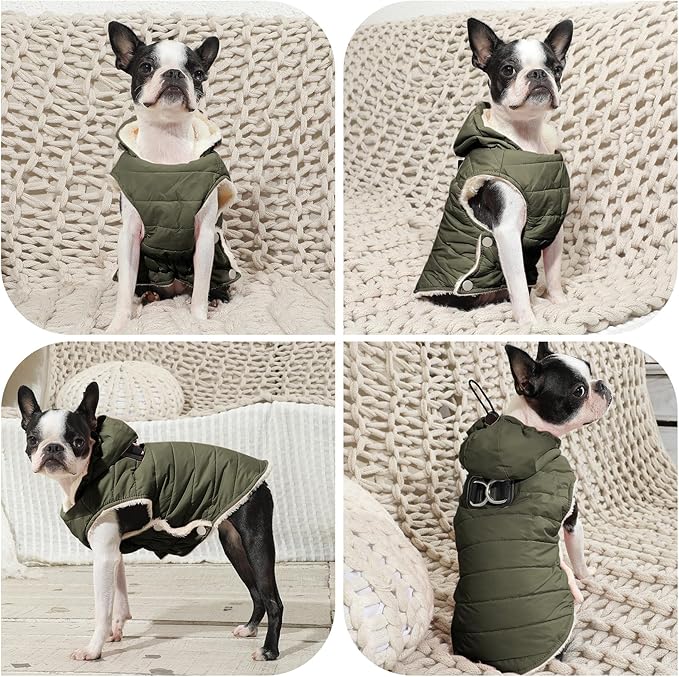 Fleece Lining Dog Hoodie with Harness Built in,Extra Warm Small Dog Jacket in Winter Puppy Coats with Drawstring Hooded,Green M