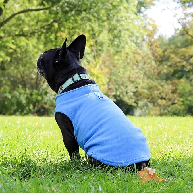 JACKO & CO - Fleece Vest Dog Sweater with Leash Ring - Soft, Warm & Lightweight Pullover Coat for Small & Medium Dogs, Puppies & Cats - Cozy Fall/Winter/Spring Pet Jacket (Blue, Medium 6-10lbs)