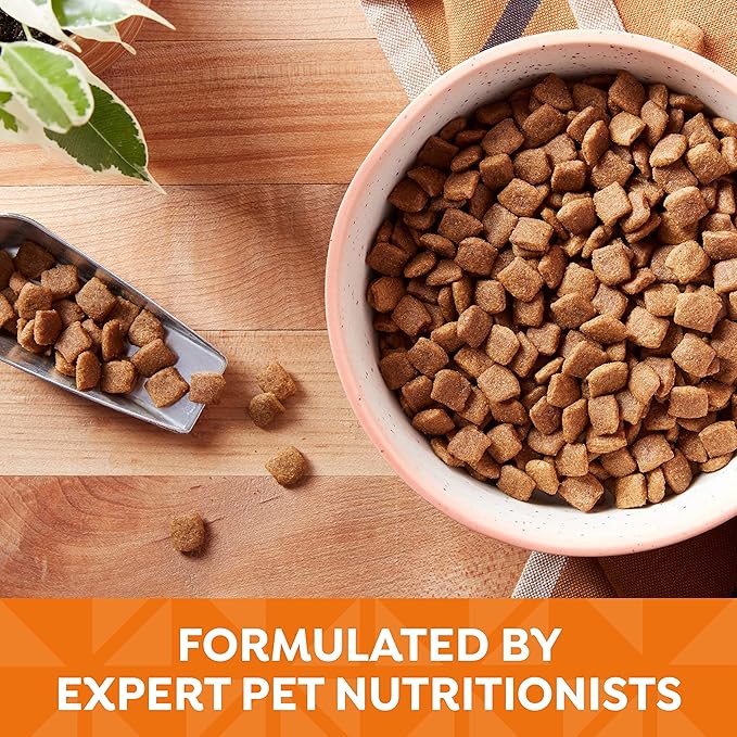 Nature's Recipe Grain Free Dry Dog Food, Chicken, Sweet Potato & Pumpkin Recipe, 12 lb. Bag