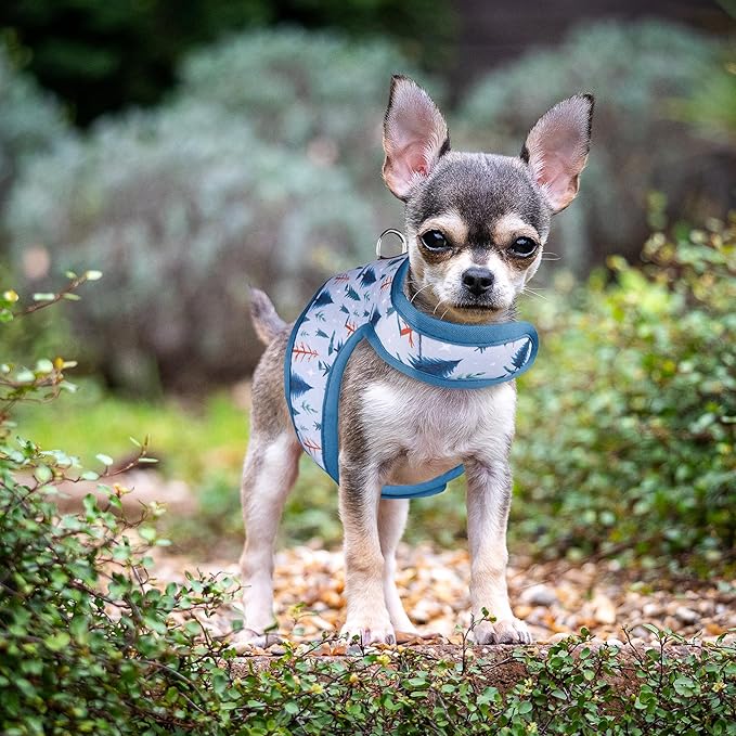 Mile High Life Dog Harness, Air Mesh Floral Vest Harness for 20 lbs Small Dogs & Cats, Easy Get on Adjustable Easy Closures Both Neck and Chest(Gray Tree, XS Chest 14"-16")