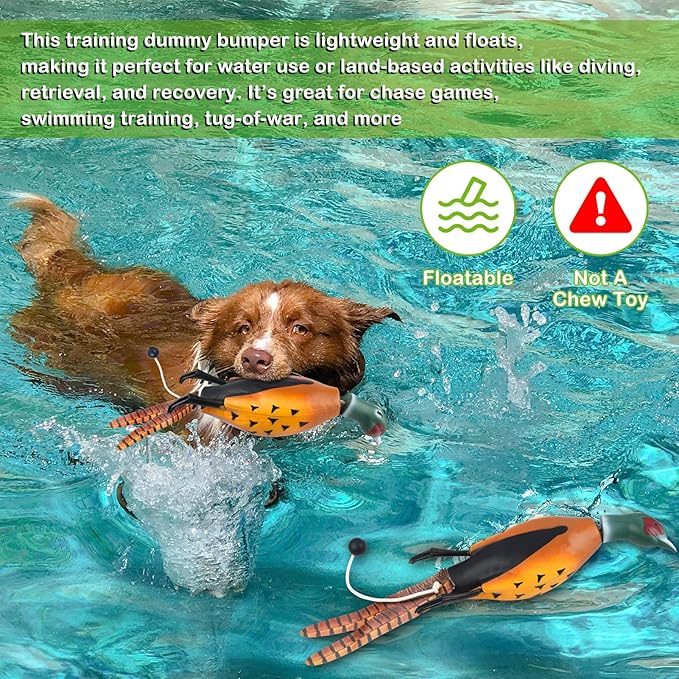 Archerest Dead Duck Dove Pheasant Dummy Bumper Toys for Waterfowl Hunting Retriever Dog Training, Floating Mallard Dummy Trainer Outdoor Soft Durable Realistic Fowl