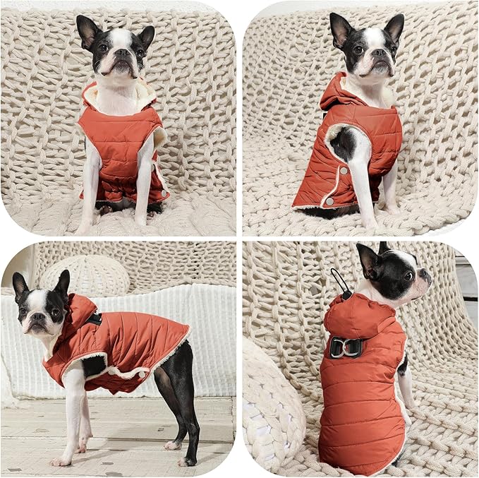 Fleece Lining Dog Hoodie with Harness Built in,Extra Warm Small Dog Jacket in Winter Puppy Coats with Drawstring Hooded,Orange M