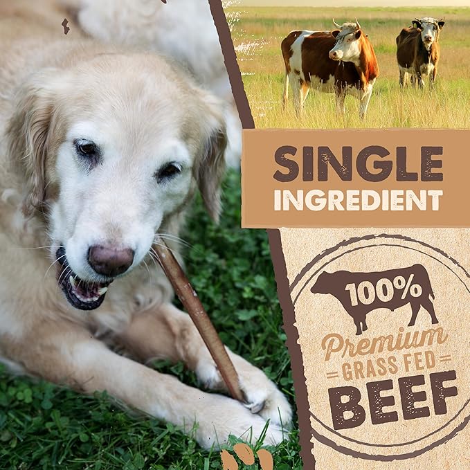Mighty Paw Long Lasting 12" Bully Sticks for Dogs - All Natural Grass Fed Beef Chews. Lower Odor Dog Bully Sticks for Large Dogs, Medium and Small Breeds. Single Ingredient Treats