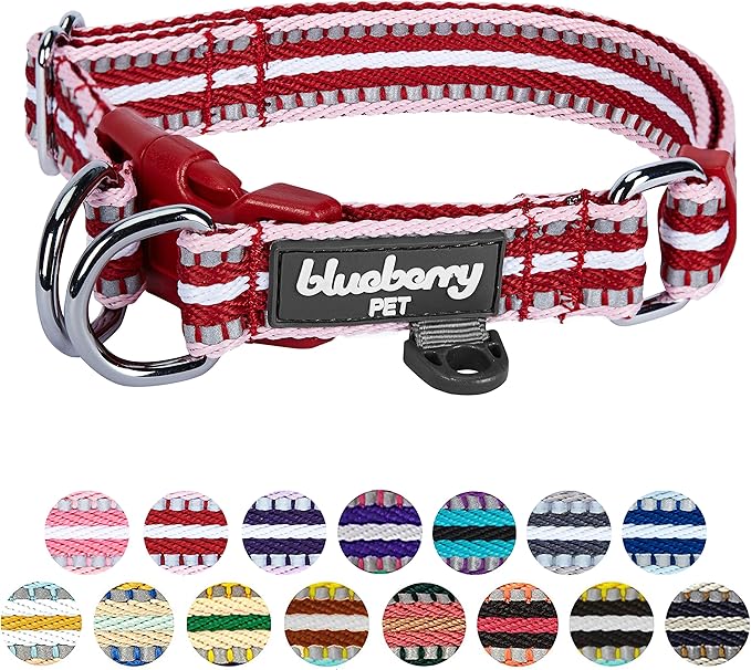 Blueberry Pet Safety Dog Collar with Dual D-Rings | 3M Reflective Multi-Colored Adjustable Collar in Marsala Red and Pink | Soft Nylon Dog Collar for Active Large Dogs
