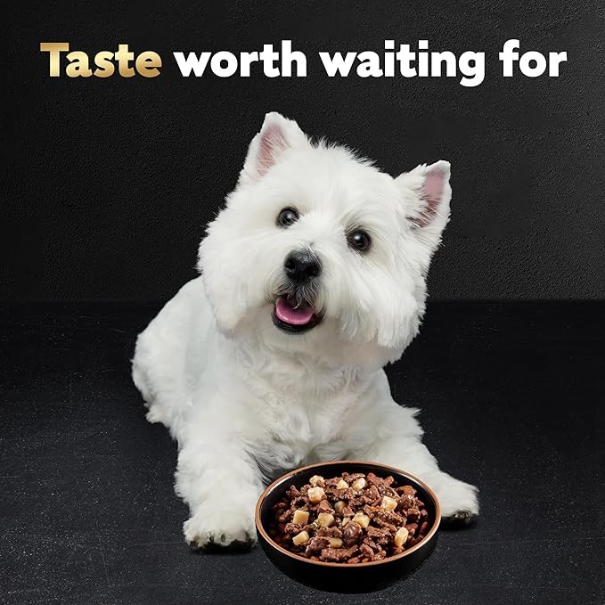 Cesar Wet Dog Food Home Delights & Classic Loaf in Sauce, Variety Pack, 3.5 oz. (36 Count, Pack of 1)