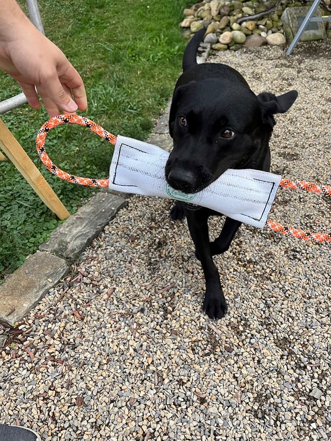 Rock-N-Rescue Hound Hose Firehose Dog Toy - Interactive Training Tug Rope from Durable Recycled Fire Hose. Indoor Outdoor Fetch Toy, Medium with Rescue Rope Handles
